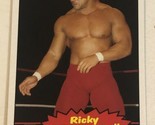 Ricky The Dragon Steamboat 2012 Topps WWE Card #99 - $1.97