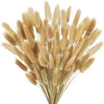 100Pcs Bunny Tails Dried Flowers Natural Dried Bunny Tails Grass Dried Lagurus O - £19.75 GBP