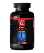 joint ease - JOINT MATRIX COMPLEX 1B - glucosamine chondroitin with msm - $17.40