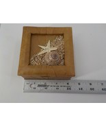 DELICATE LEAF COVERED BOX W NOTE PAPER HOLDER BEACH SHELLS STARFISH SAND... - £20.36 GBP