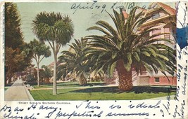 UNDBK Postcard CA D239 Cancel 1904 Street Scene in Southern California Palms - £5.91 GBP