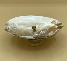 Unique Mother Of Pearl Shell Oil Lamp - £23.28 GBP