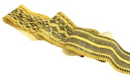 Elaphe Carinata Snake Skin Leather Snakeskin Unbleached Citrine ETA 1wk - $12.06+