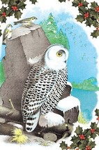 Christmas Snow Owl by Sara Pierce - Art Print - £17.51 GBP+