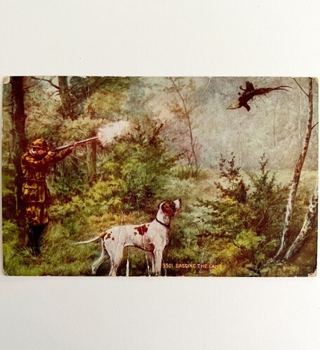 Bagging The Game Victorian Hunting Postcard 1900s Bird Dog PCBG11B Item image 2