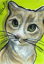 Brown CAT Green Eyes Portrait Original Sketch Card Art Drawing PSC ACEO ... - £19.61 GBP