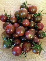 PPA 50 Seeds Chocolate Tomato Juicy Tomatoe Vegetable Garden Edible Food - £3.67 GBP