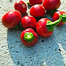 Cherry Peppers Sweet Gardening USA SHIPPING - $6.80