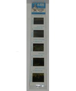 Vintage Scenic Alaska Slides Mt McKinley National Park Summit Glacier - $35.10 CAD
