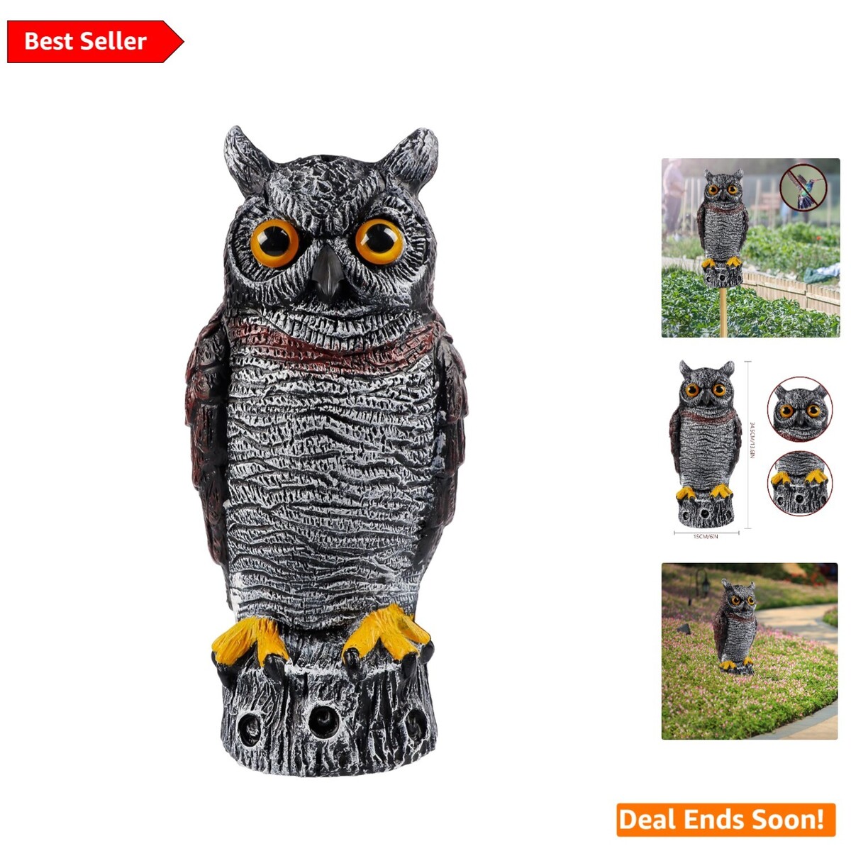 Full-size item image