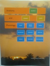 Anatomy and Physiology Vol 2 Summary Charts - $28.99