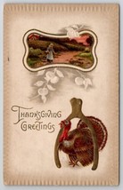 Thanksgiving Greetings Darling Turkey And Wishbone Postcard K29 - £5.55 GBP