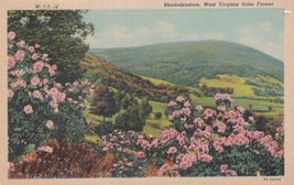 Rhododendron West Virginia State Flower WV Postcard D58 - $2.99