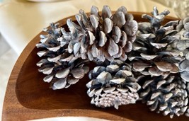 Frosted Painted Pinecones , pinecones , basket or bowl filler, garland, ... - £9.50 GBP