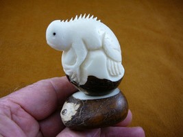 tne-liz-ig-122a) IGUANA lizard TAGUA NUT TUSK Figurine carving Vegetable... - $22.43
