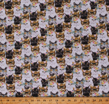 Cotton Cats Kittens Felines Glasses Flowers Fabric Print by the Yard D382.47 - £7.93 GBP