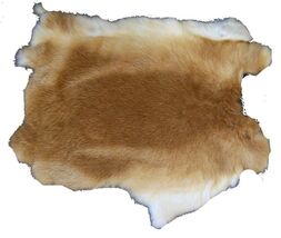 2 NATURAL LIGHT BROWN GENUINE RABBIT SKIN new tan hide pelt craft skins ... - $17.75