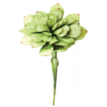 Kalalou 26 in. No.43 Botanica Decor - Case of 6 - $224.70