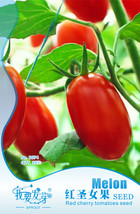 1 Pack 35 Seeds Pack Very Sweet Red Cherry Tomato Seeds Tasty Tomato Fruit #Nf53 - $6.00