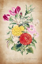 13722.Decor Poster print.Room Wall art design.Botanical.Flowers bouquet.Violets - £13.02 GBP+
