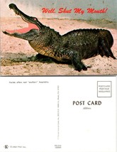 Florida Alligator Humor Funny Comical Well, Shut My Mouth Vintage Postcard - £7.34 GBP