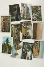 Vintage Paper Postcards Lot 12 Mt Lowe California Early Linen Catalina Park - £15.81 GBP