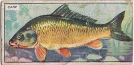 Cowan Co Toronto Card Carp Canadian Fish - $9.89