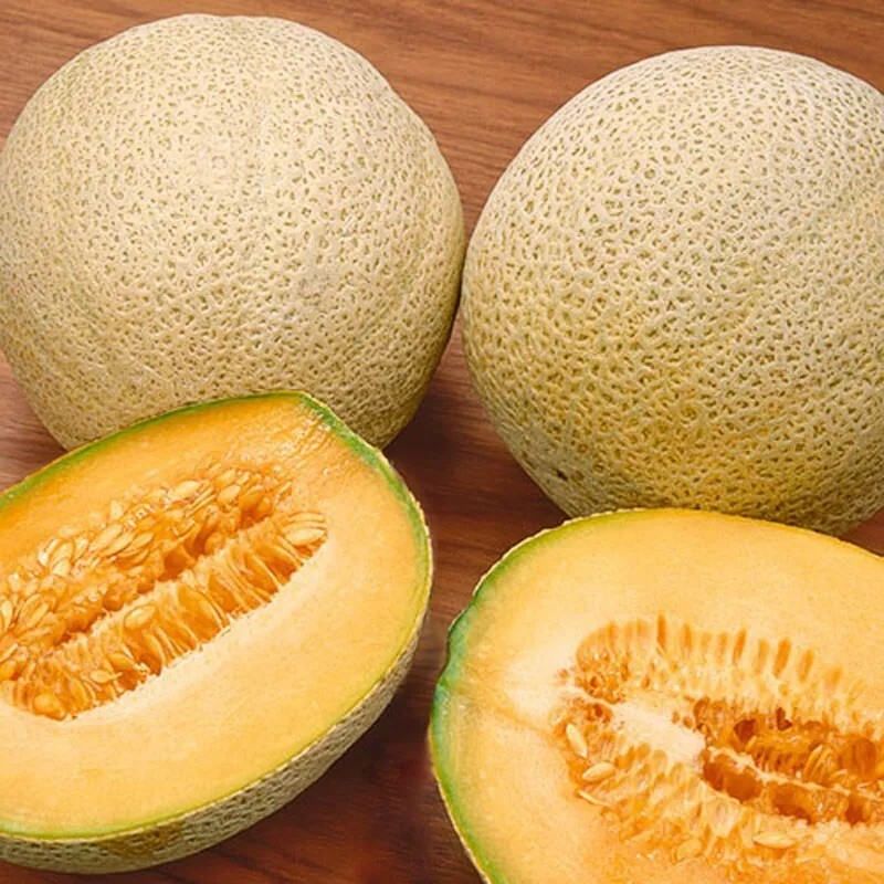SYST 25 Seeds Honey Rock Melon Cantaloupe Non Gmo Heirloom Catalog Home ... - $9.15
