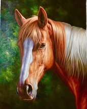 Wide Horse Handmade Oil Painting Unmounted Canvas 20x24 inches - £236.07 GBP