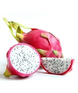 White Dragon Fruit 5 to 8 inch Live Starter Plant - £18.08 GBP