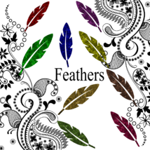 Glitter Feathers-Digital Clipart-Art Clip-Gift Cards-Banner-Gift Tag-Jew... - $37.71 MXN