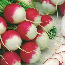 25+ pk Bunny Tail Radish Seed, Home garden, Sprouting Seeds - £2.35 GBP