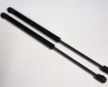 Pair of 14&quot; 40 lbs. Gas Prop Suspa® C16-09461 - $24.95