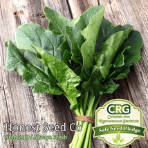 150+ Bloomsdale Spinach Seeds Non-GMO Heirloom Fresh Garden Seeds USA - £7.69 GBP