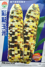 Early Maturing Sticky Colorful Sweet Corn Seeds 50G Seeds Fresh Gardenin... - £8.13 GBP