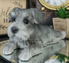 Realistic Adorable Grey Mini Schnauzer Dog Lying On Belly Figurine Pet Pal - £27.67 GBP