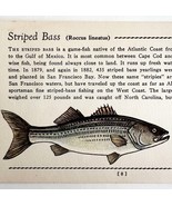 Striped Bass 1939 Salt Water Fish Gordon Ertz Color Plate Print Antique ... - $570.01 MXN