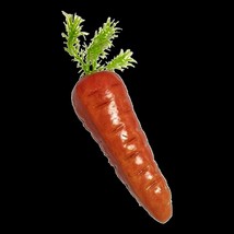 Carrot 5 thumb200