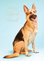 You're A Special Friend - Friendship Greeting Card - 00782 - €1,19 EUR You're A Special Friend - Friendship Greeting Card - 00782 - €1,19 EUR