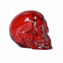 Red Translucent Witching Hour Gazing Skull Miniature Figurine Acrylic Skulls - £9.36 GBP