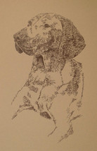 Vizsla Dog Art Print Lithograph #56 Stephen Kline adds your dogs name free. GIFT - $49.95