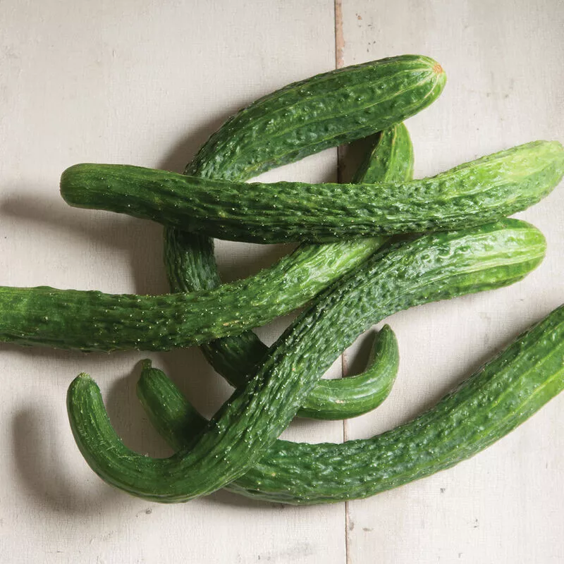 25 Seeds Suyo Long Cucumbers Edible Canning Pickling Gardening Fresh USA Seller - $12.50