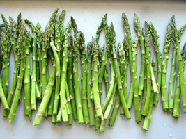 Fast Ship USA Seller Mary Washington Asparagus Seeds Seeds - £8.33 GBP