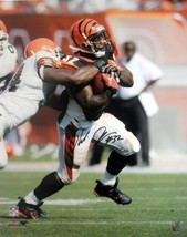 Rudi Johnson signed Cincinnati Bengals 16x20 Photo - £15.24 GBP