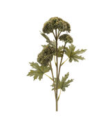 Sedum Succulent Spray (Set of 6) - 677884 - $1,521.95 MXN