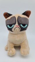 Grumpy Cat 10&quot; Plush Stuffed Animal Tan Brown Standing Kitty - £14.56 GBP