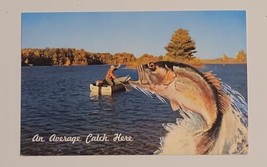 Largemouth Bass Fishing Huge Fish Catch Comic Postcard Average Catch Here - £4.94 GBP