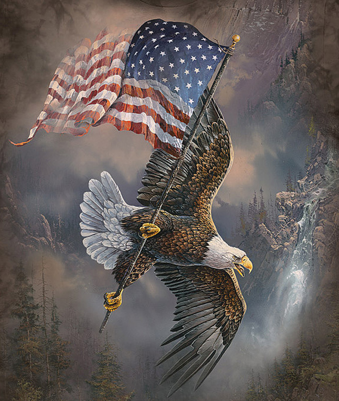 Soaring Over America Cross Stitch Pattern***LOOK*** - $2.95