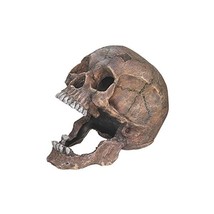 Aqua Ornaments &#39;Skull&#39; Aquarium Decoration 13.5 x 20 x 16.5 cm  - $57.00