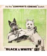 1960 Black &amp; White Scotch Buchanan Advertisement Scottish Terrier Westie... - €25,56 EUR